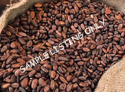 Somalia Cocoa Beans