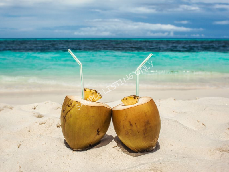 Fresh Somalia Coconut